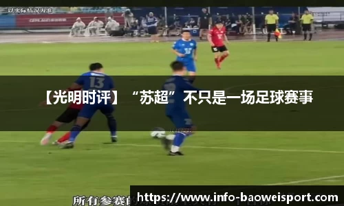 宝威体育APP